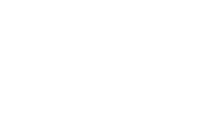 wireframe